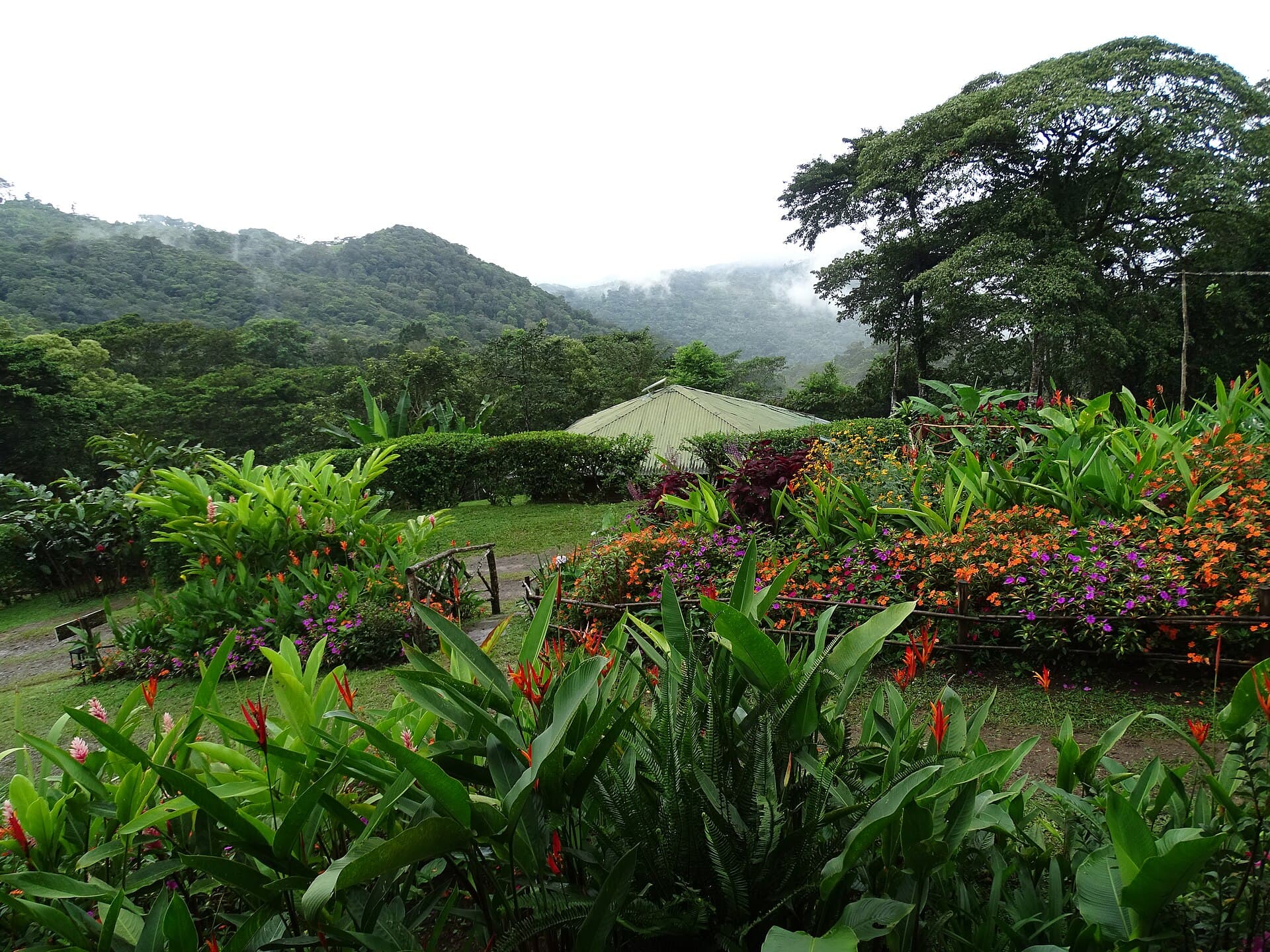 Matagalpa